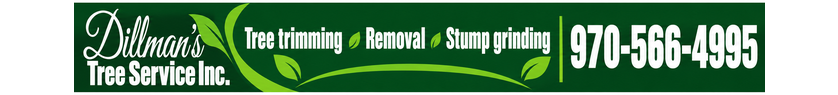 Dillmann's Tree Service Inc. — contact banner. Call 970-566-4995.