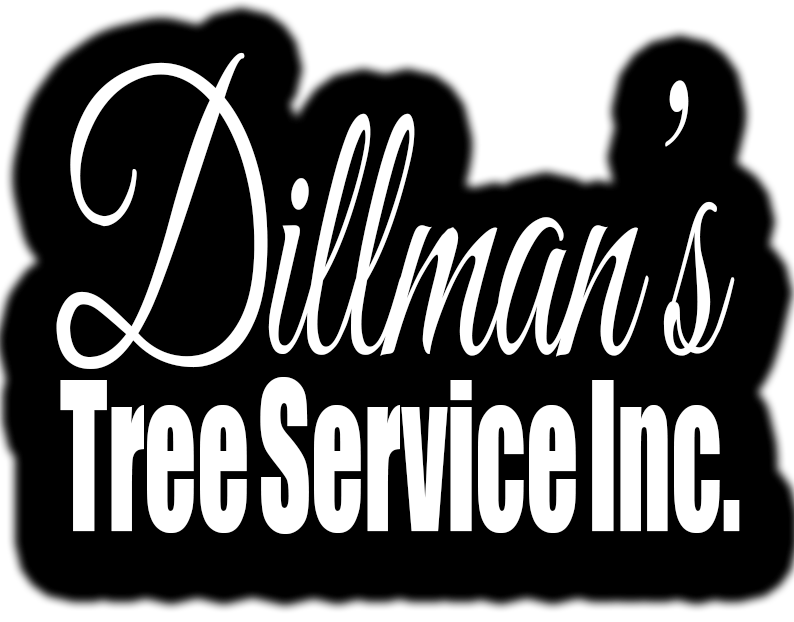 Dillmann's Tree Service Inc. official brand mark