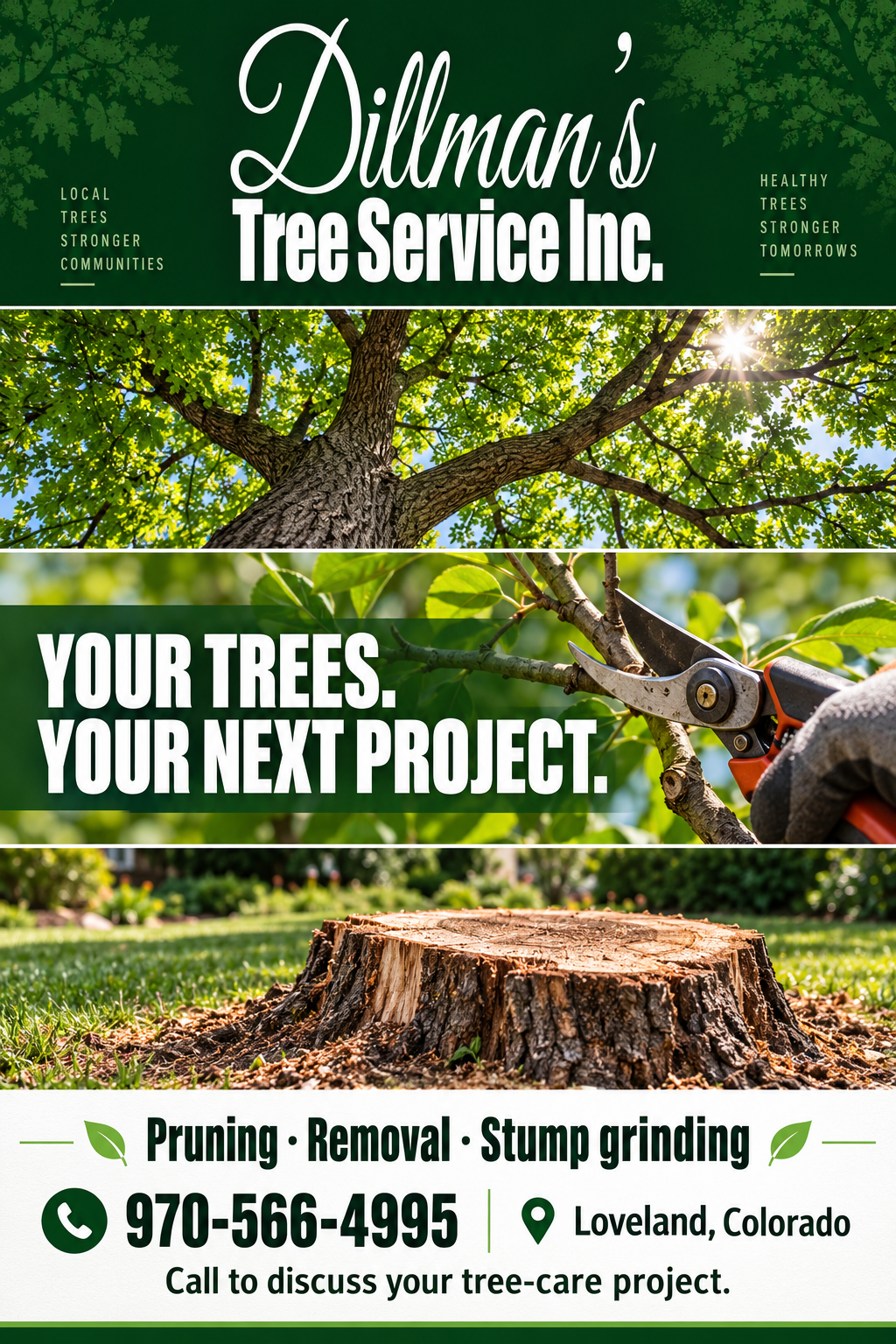 Dillmann's Tree Service Inc. — advertisement 5. Call 970-566-4995.